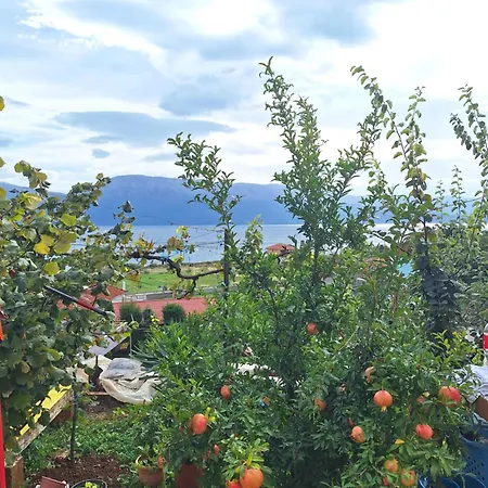 Taku Wonderful View Of Ohrid * Udenisht