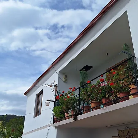Taku Wonderful View Of Ohrid Udenisht