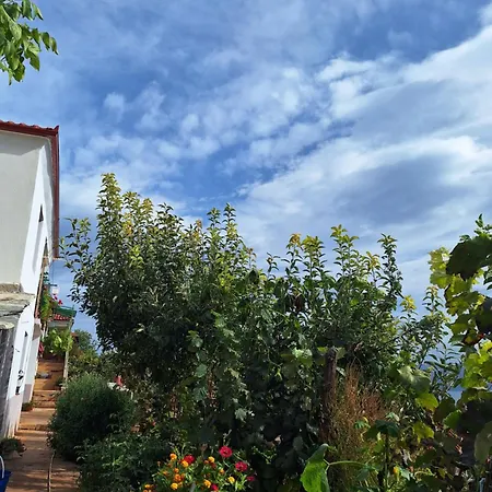 Villa Taku Wonderful View Of Ohrid