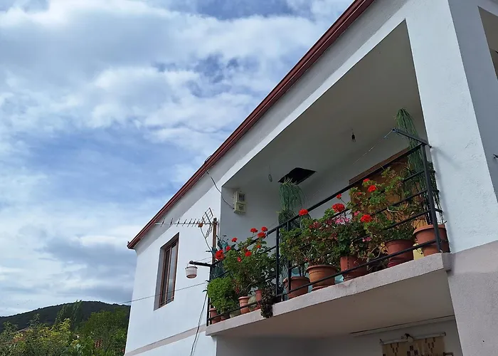 Taku Wonderful View Of Ohrid Udenisht