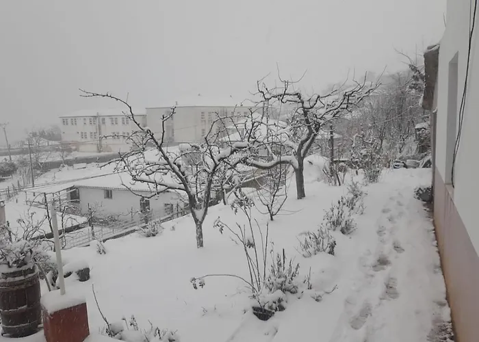 Taku Wonderful View Of Ohrid *